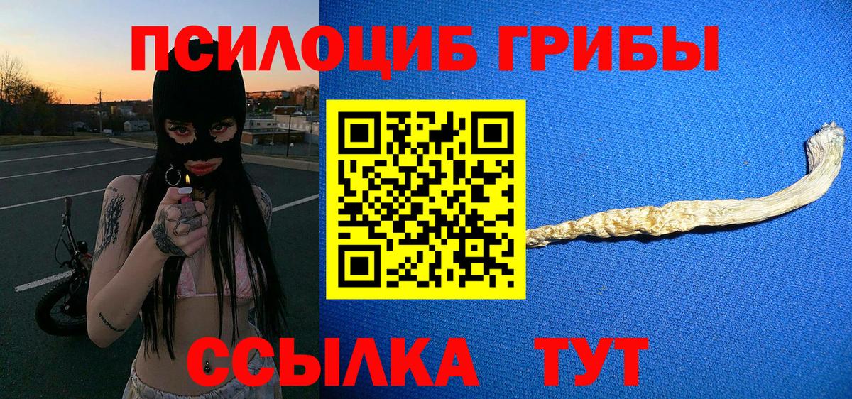 Галлюциногенные грибы ЛСД  Вход с VPN  Псилоцибиновые грибы Magic Shrooms  Киселёвск 