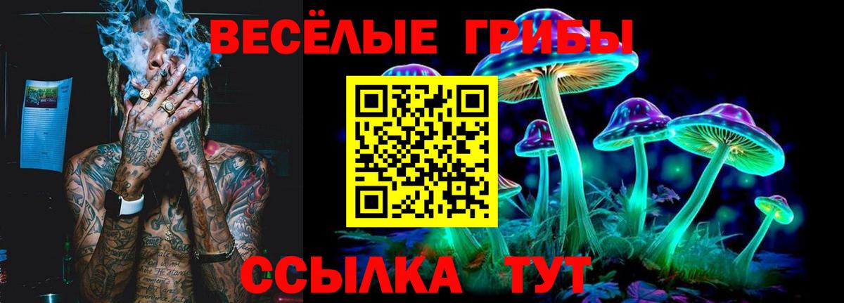 Галлюциногенные грибы Cubensis Киселёвск